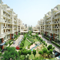 Green Ville